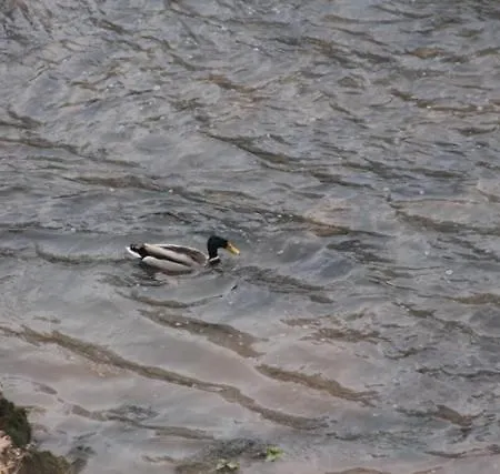 Nocleg ze śniadaniem Le Moulin De Benechou